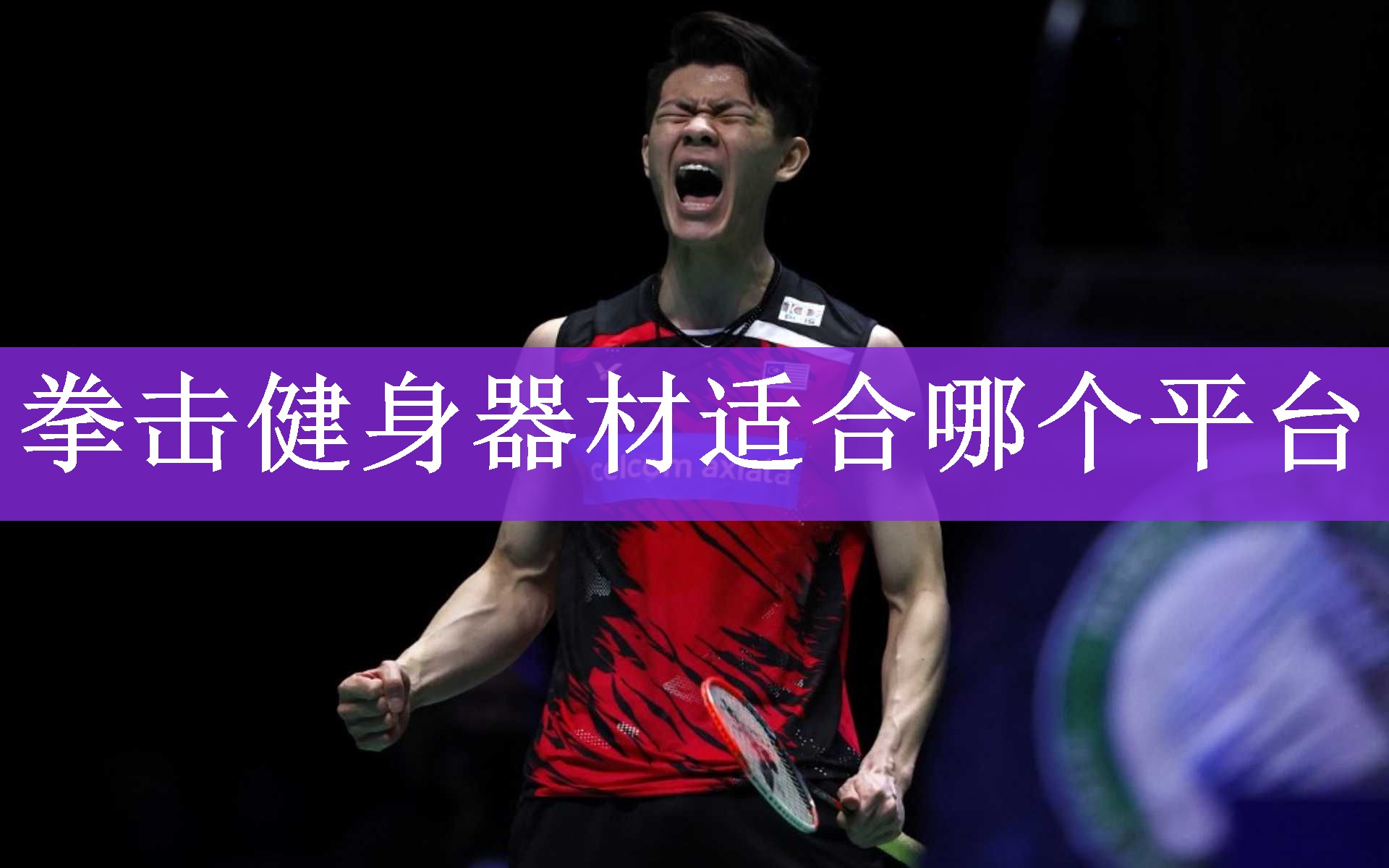 <strong>拳击健身器材适合哪个平台</strong>