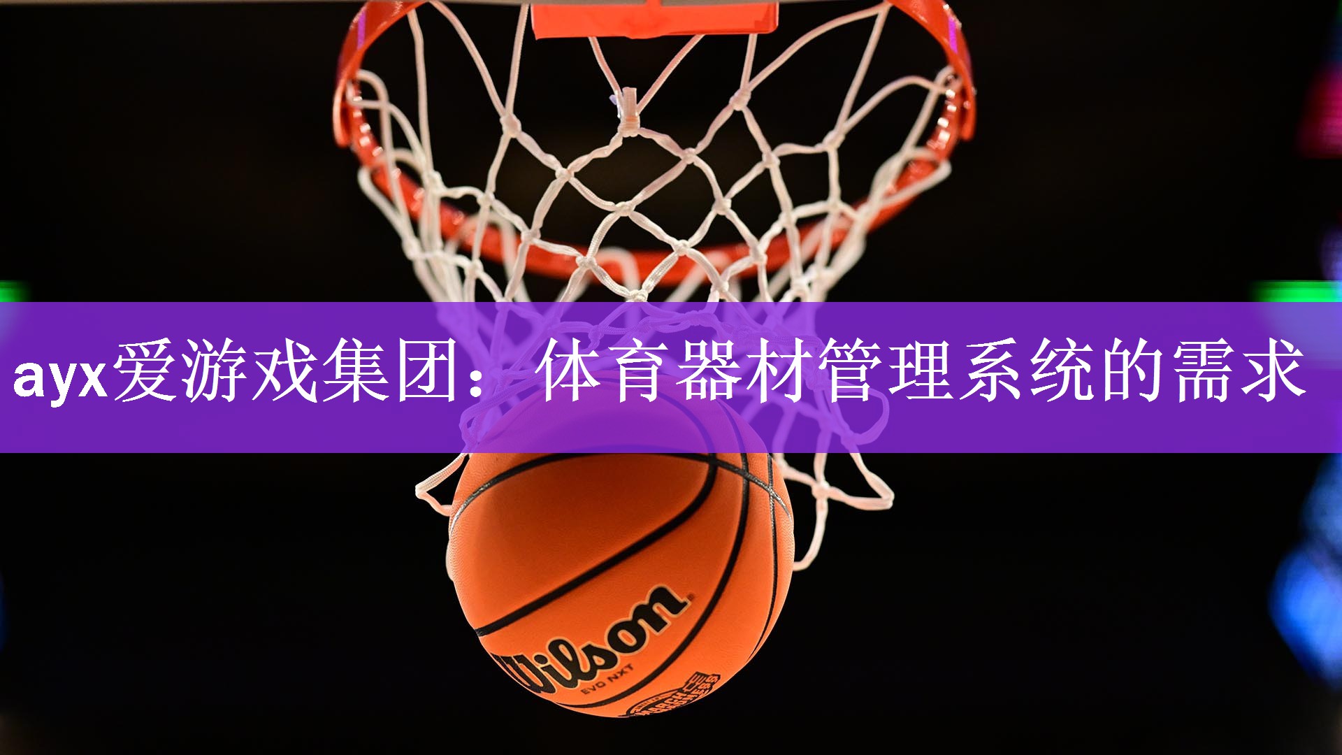 <strong>ayx爱游戏集团：体育器材管理系统的需求</strong>