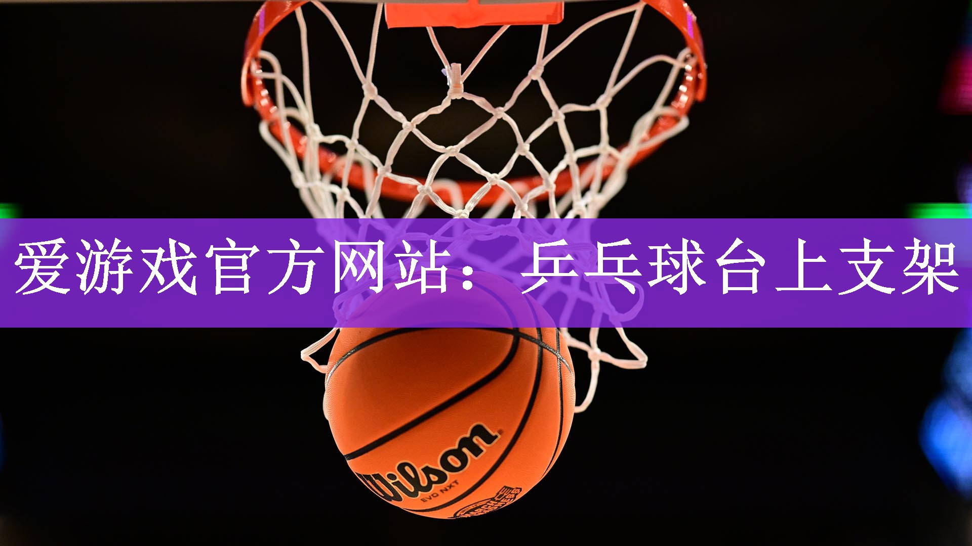 <strong>爱游戏官方网站：乒乓球台上支架</strong>