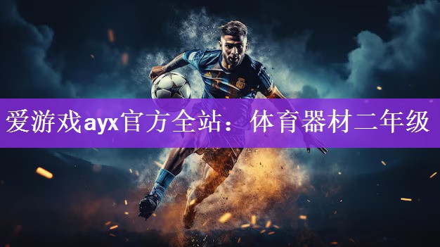 爱游戏ayx官方全站：体育器材二年级