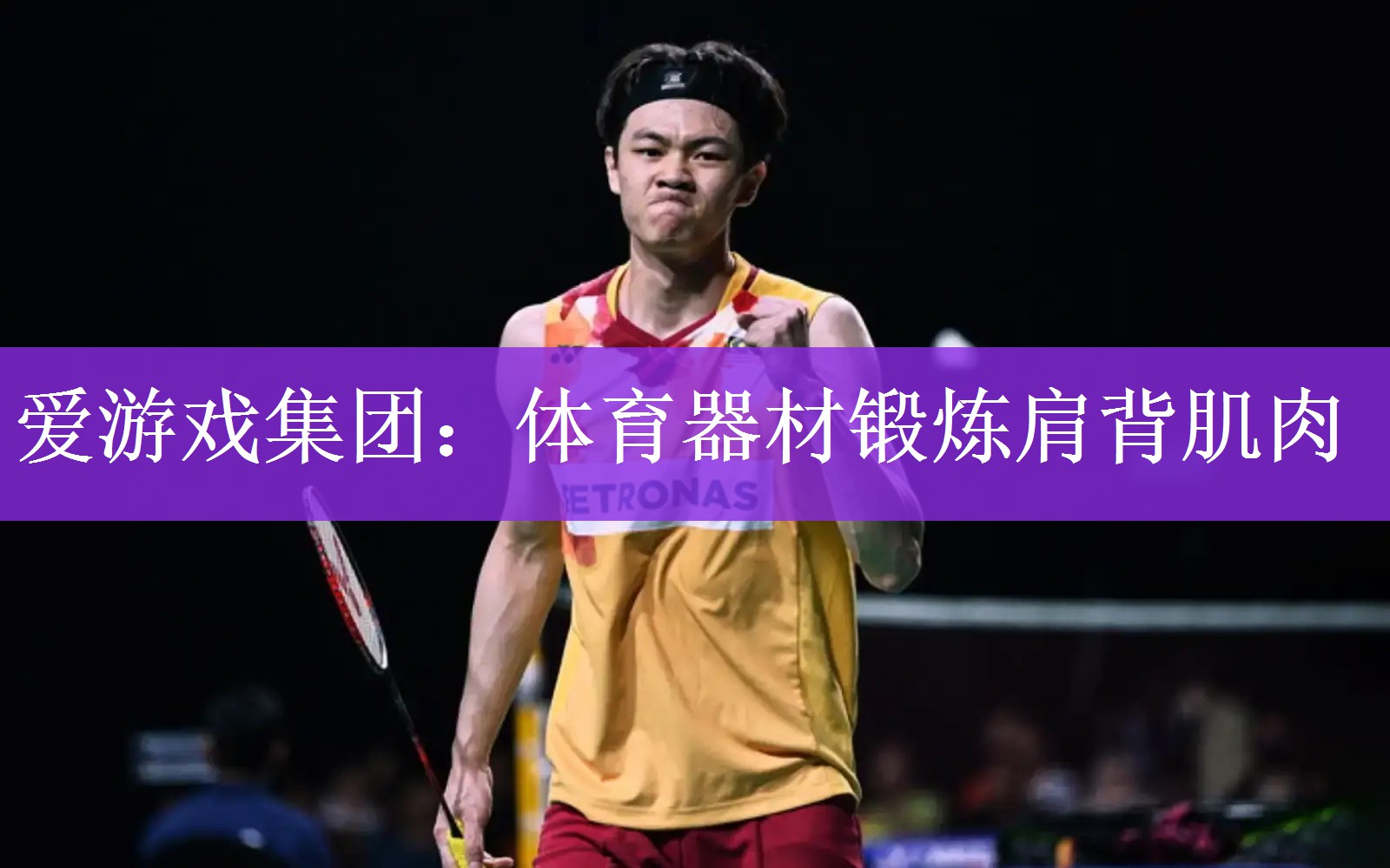 爱游戏集团：体育器材锻炼肩背肌肉
