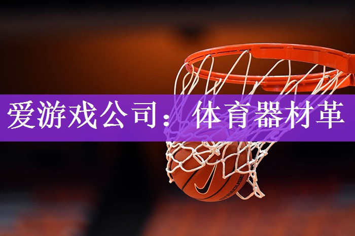 <strong>爱游戏公司：体育器材革</strong>