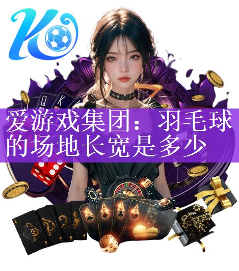 爱游戏集团：羽毛球的场地长宽是多少
