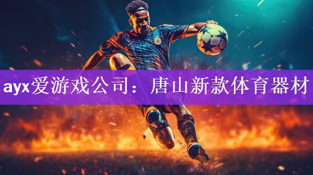 ayx爱游戏公司：唐山新款体育器材
