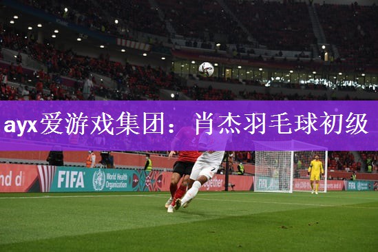 ayx爱游戏集团：肖杰羽毛球初级