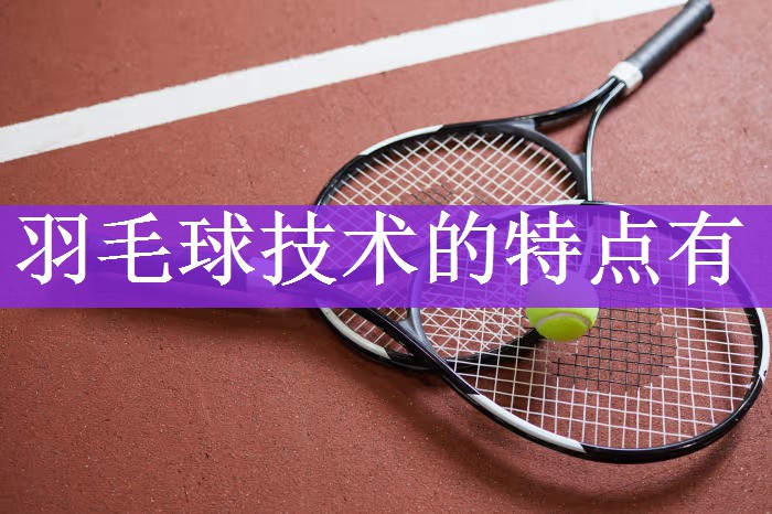 羽毛球技术的特点有
