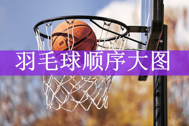 羽毛球顺序大图