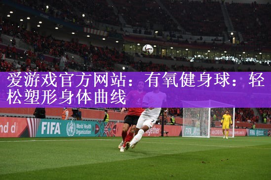 <strong>爱游戏官方网站：有氧健身球：轻松塑形身体曲线</strong>