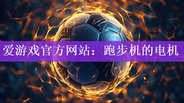 <strong>爱游戏官方网站：跑步机的电机</strong>