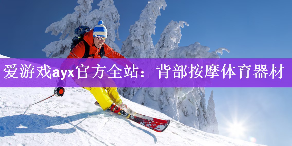 爱游戏ayx官方全站：背部按摩体育器材