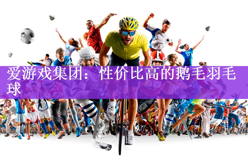 <strong>爱游戏集团：性价比高的鹅毛羽毛球</strong>