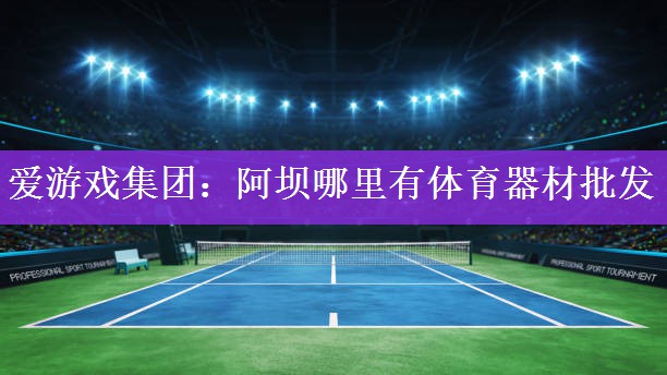爱游戏集团：阿坝哪里有体育器材批发