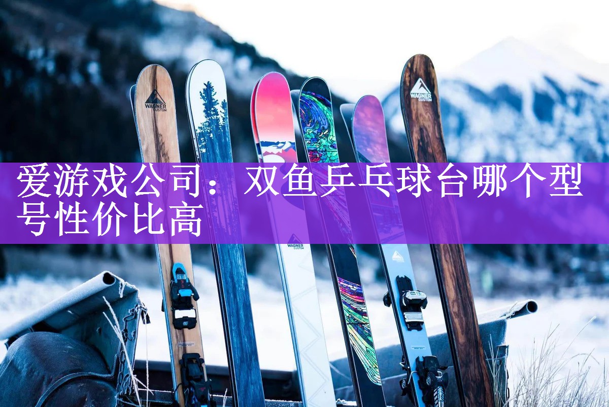 爱游戏公司：双鱼乒乓球台哪个型号性价比高