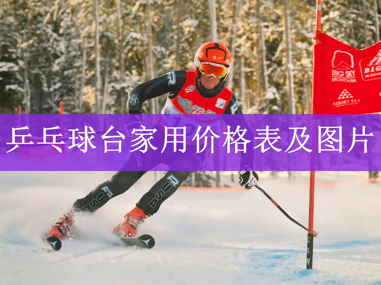 <strong>乒乓球台家用价格表及图片</strong>