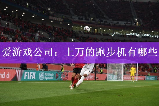 爱游戏公司：上万的跑步机有哪些