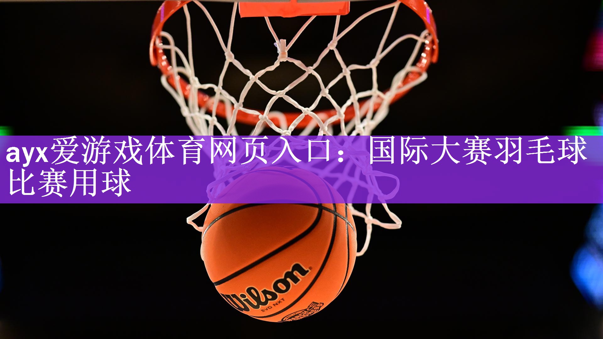 ayx爱游戏体育网页入口：国际大赛羽毛球比赛用球