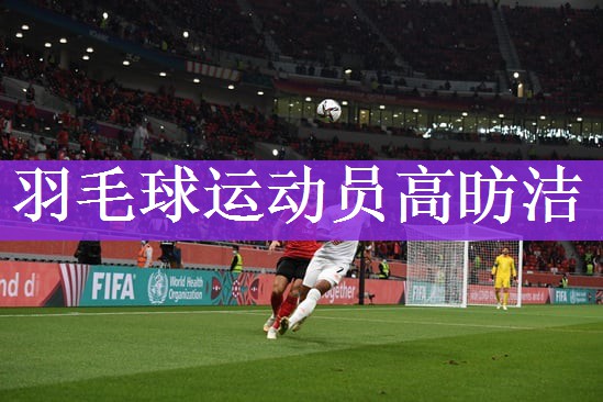 羽毛球运动员高昉洁