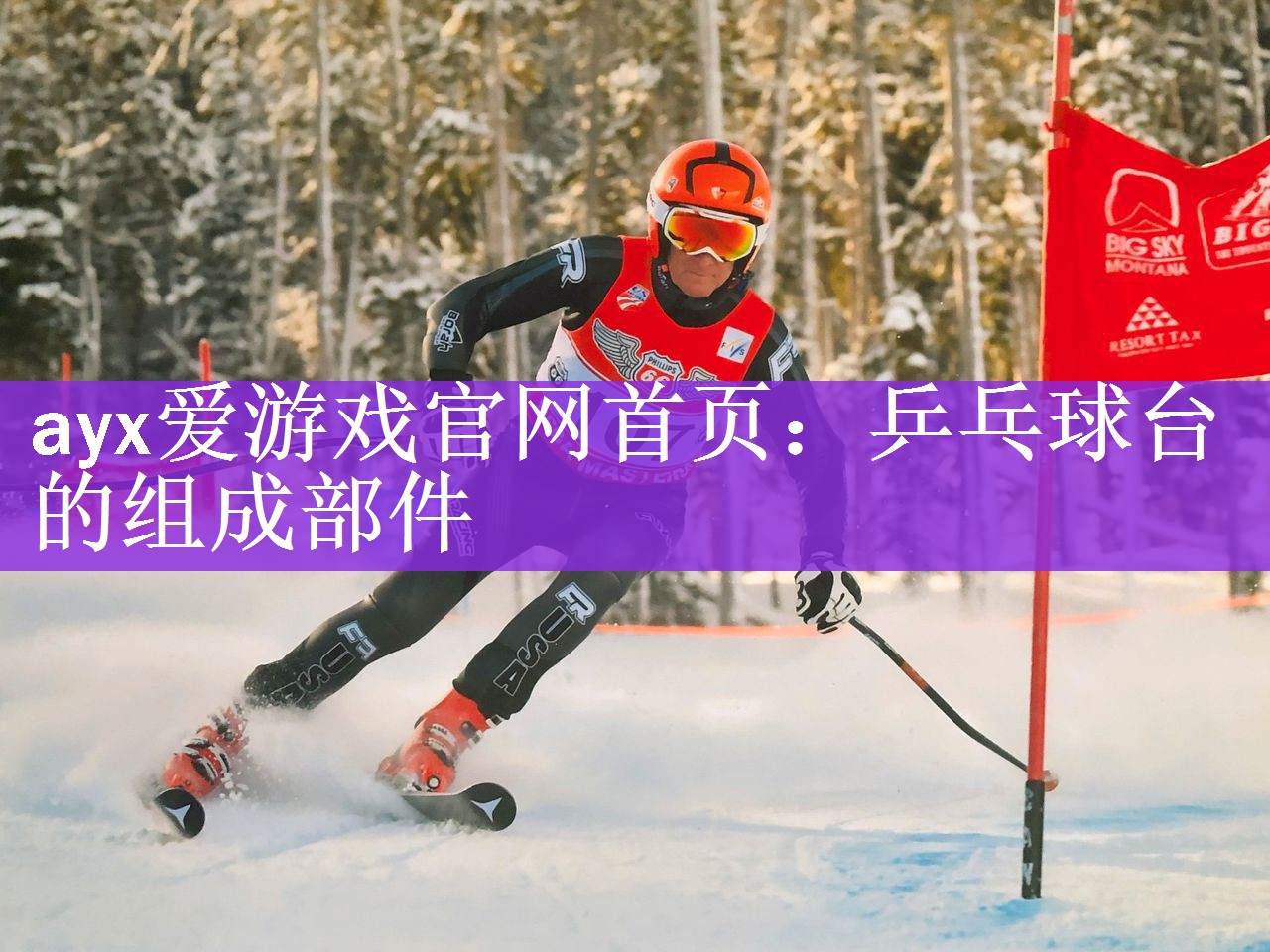 ayx爱游戏官网首页：乒乓球台的组成部件