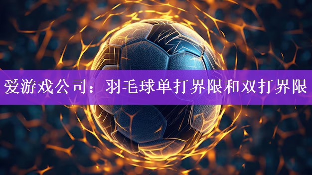 <strong>爱游戏公司：羽毛球单打界限和双打界限</strong>
