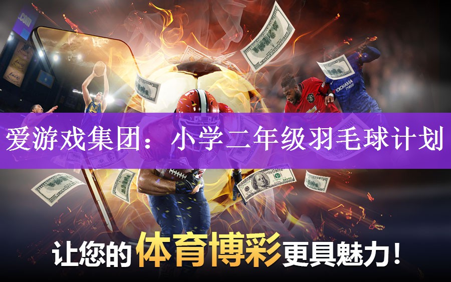 爱游戏集团：小学二年级羽毛球计划