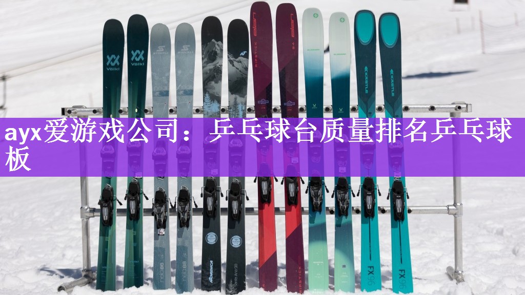 ayx爱游戏公司：乒乓球台质量排名乒乓球板