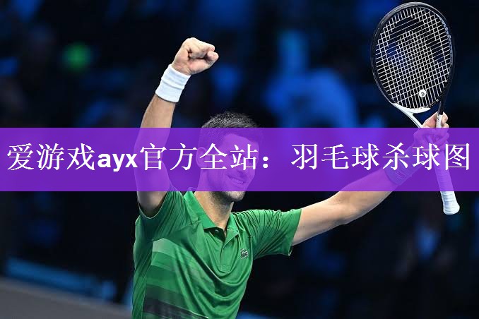爱游戏ayx官方全站：羽毛球杀球图