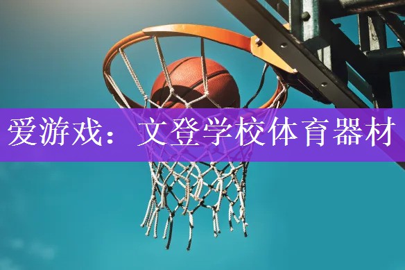 爱游戏：文登学校体育器材