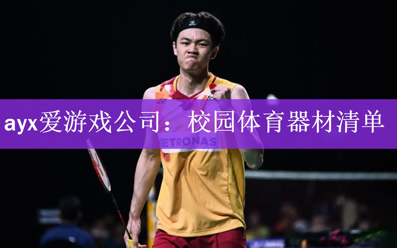 <strong>ayx爱游戏公司：校园体育器材清单</strong>