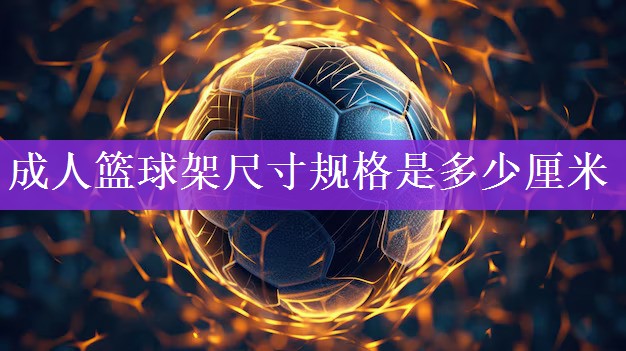 <strong>成人篮球架尺寸规格是多少厘米</strong>