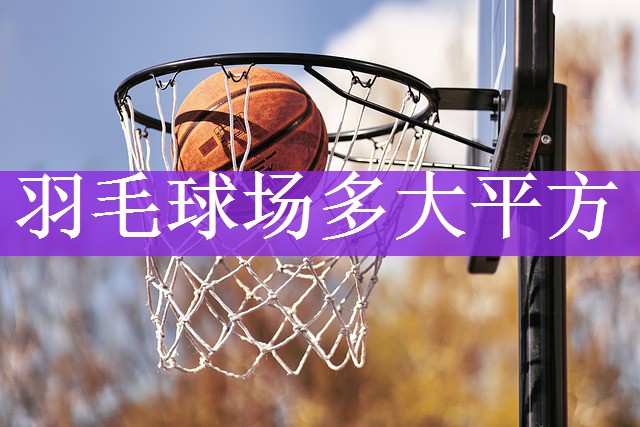 羽毛球场多大平方