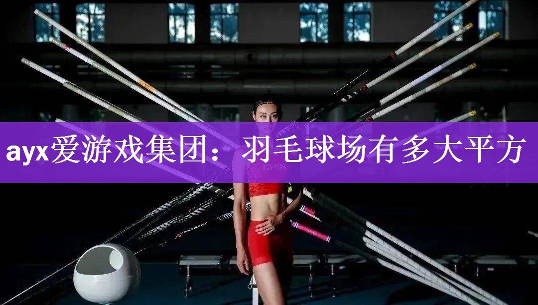 <strong>ayx爱游戏集团：羽毛球场有多大平方</strong>
