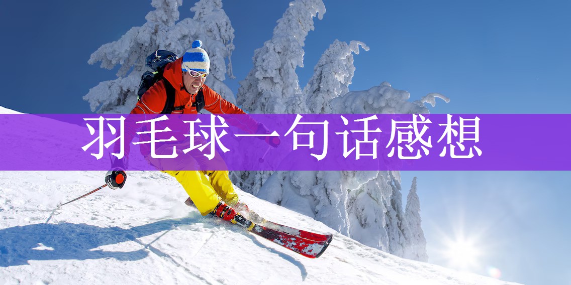 羽毛球一句话感想