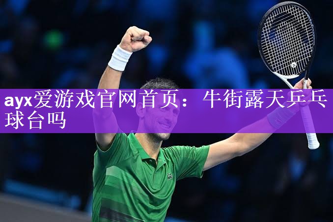牛街露天乒乓球台吗
