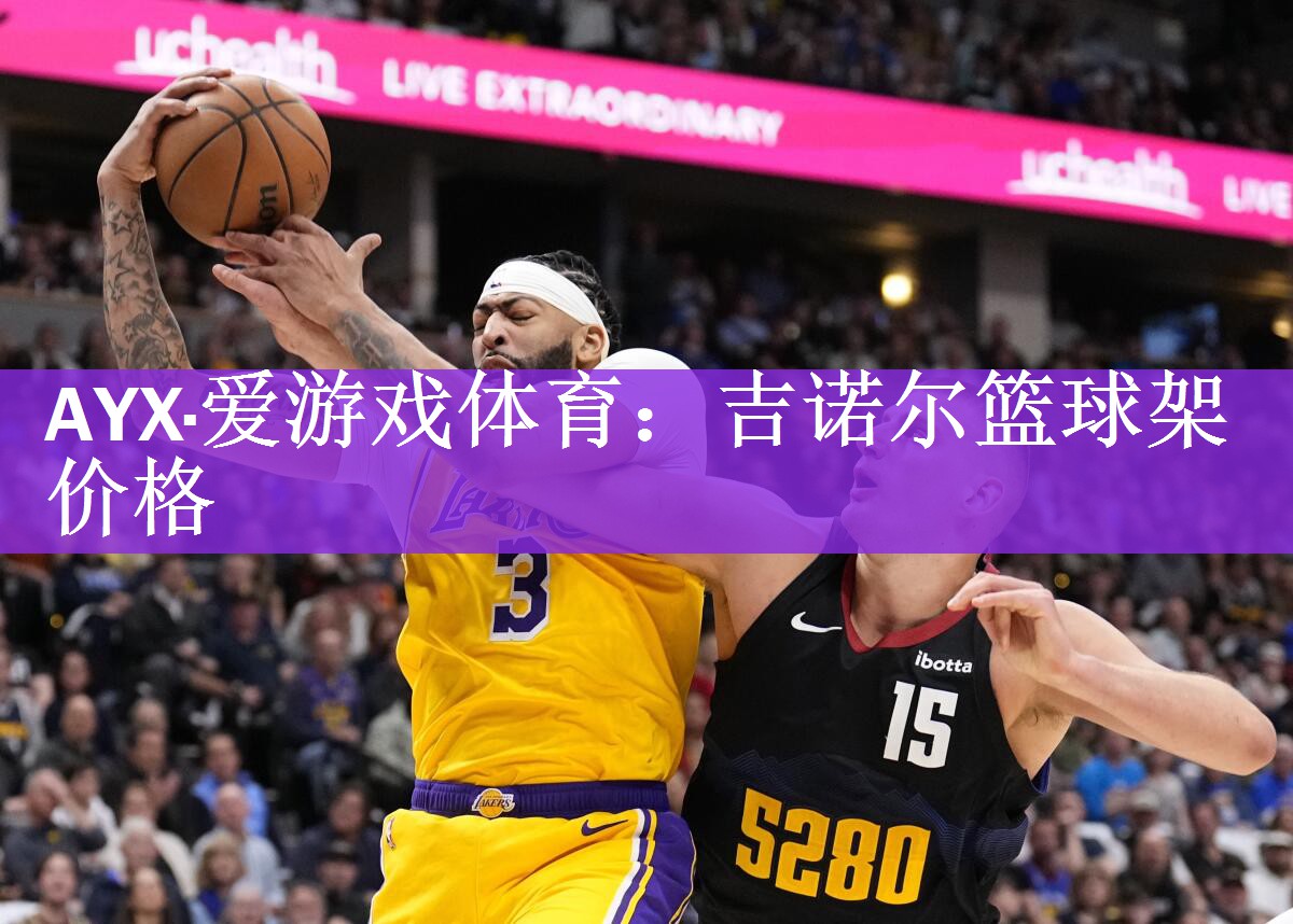 吉诺尔篮球架价格