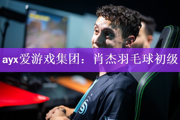 肖杰羽毛球初级