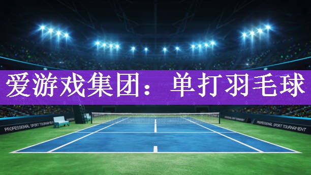 单打羽毛球