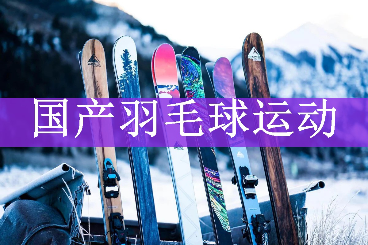 国产羽毛球运动