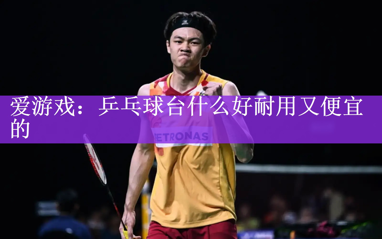 乒乓球台什么好耐用又便宜的