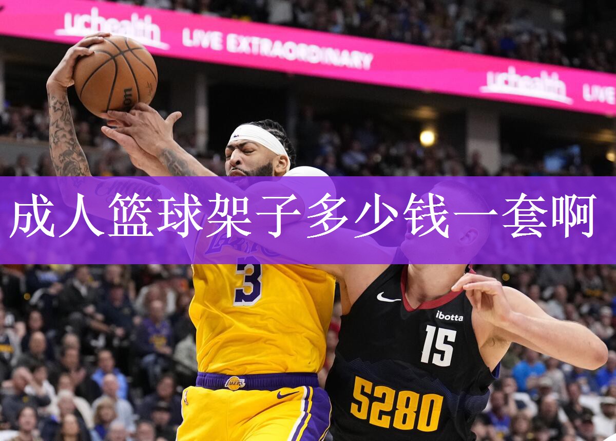 成人篮球架子多少钱一套啊