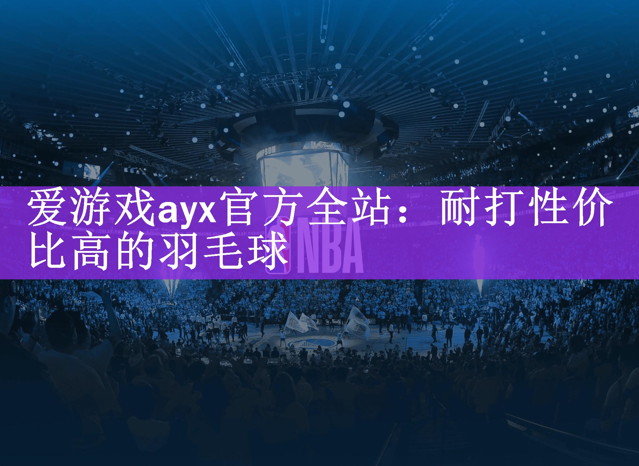 耐打性价比高的羽毛球