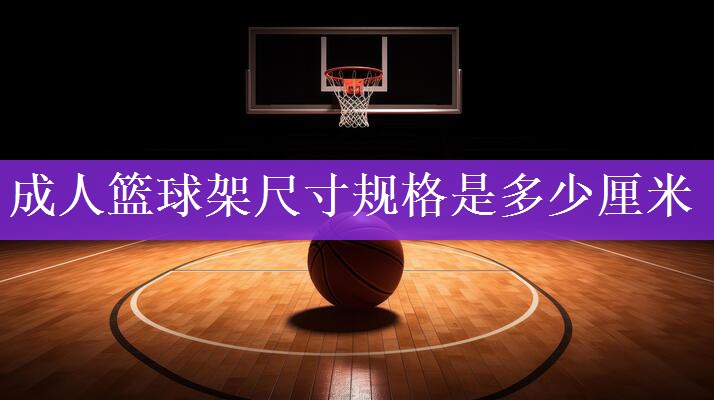 成人篮球架尺寸规格是多少厘米